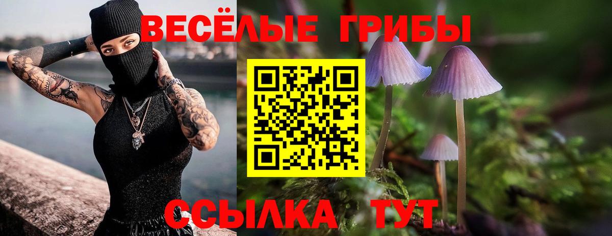 Псилоцибиновые грибы Magic Shrooms Магнитогорск