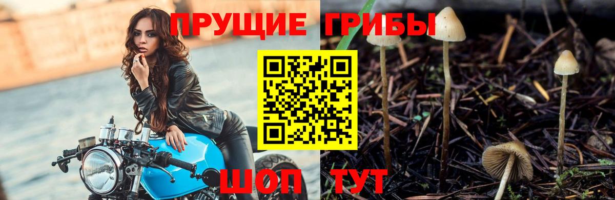 Псилоцибиновые грибы Psilocybine cubensis  Вход с VPN  Галлюциногенные грибы ЛСД  Магнитогорск 